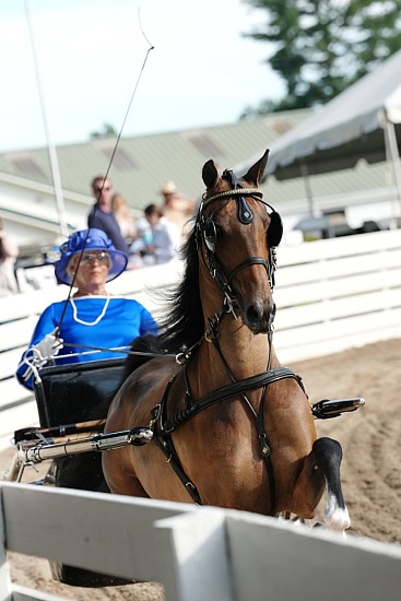 2026 Rock Creek Horse Show